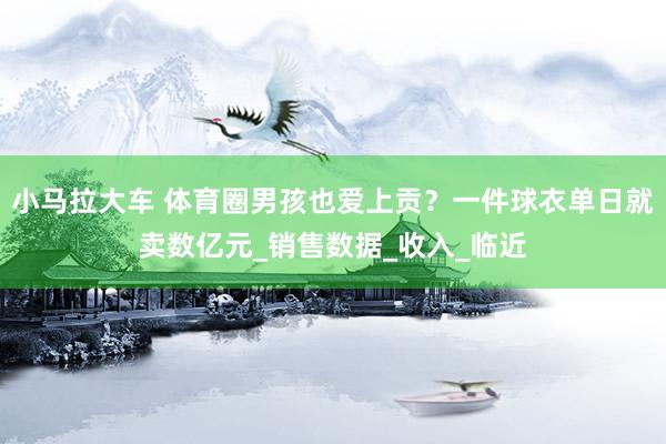 小马拉大车 体育圈男孩也爱上贡?一件球衣单日就卖数亿元_销售数据_收入_临近