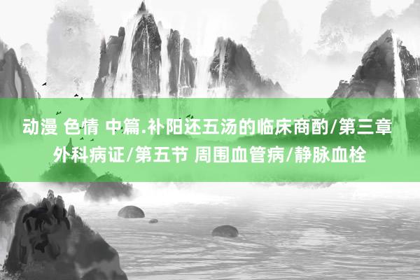 动漫 色情 中篇.补阳还五汤的临床商酌/第三章 外科病证/第五节 周围血管病/静脉血栓