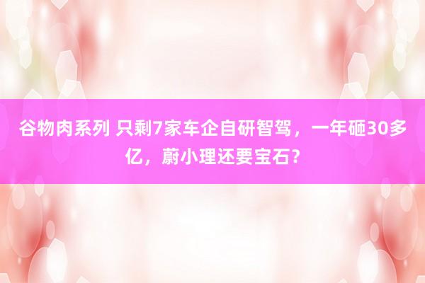 谷物肉系列 只剩7家车企自研智驾,一年砸30多亿,蔚小理还要宝石?