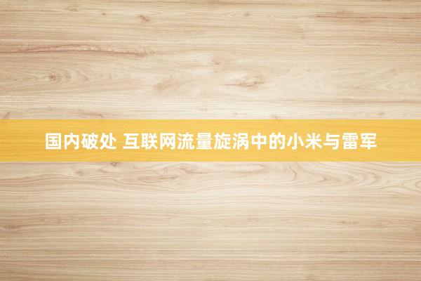 国内破处 互联网流量旋涡中的小米与雷军