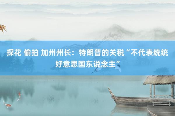 探花 偷拍 加州州长:特朗普的关税“不代表统统好意思国东说念主”