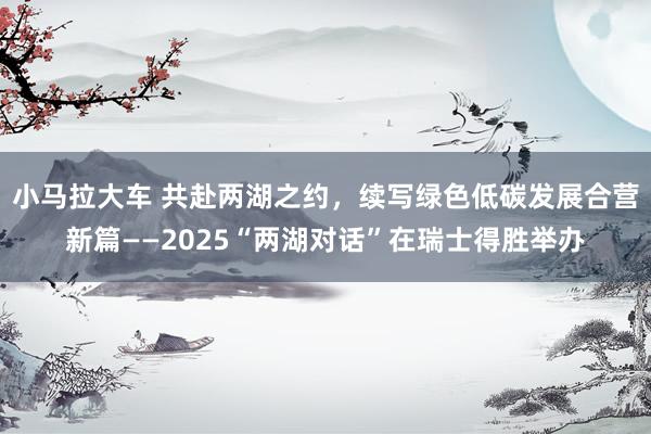 小马拉大车 共赴两湖之约,续写绿色低碳发展合营新篇——2025“两湖对话”在瑞士得胜举办