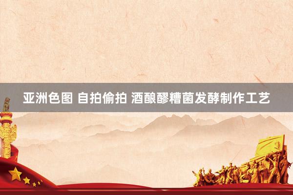 亚洲色图 自拍偷拍 酒酿醪糟菌发酵制作工艺