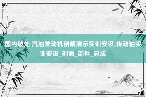 国内破处 汽油发动机剖解演示实训安设,传动轴实训安设_剖面_部件_总成