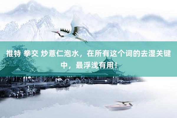 推特 拳交 炒薏仁泡水，在所有这个词的去湿关键中，最浮浅有用！