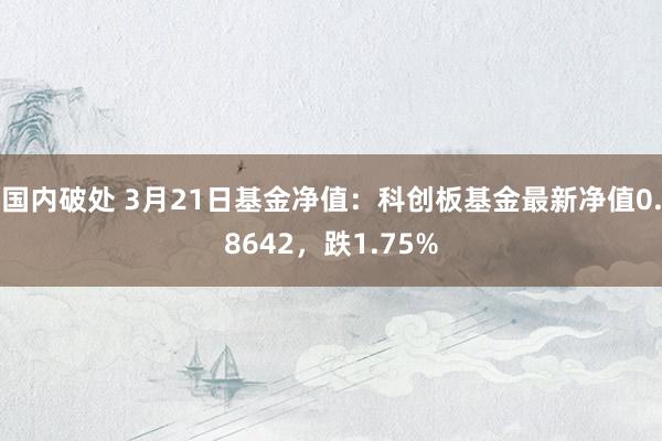 国内破处 3月21日基金净值:科创板基金最新净值0.8642,跌1.75%