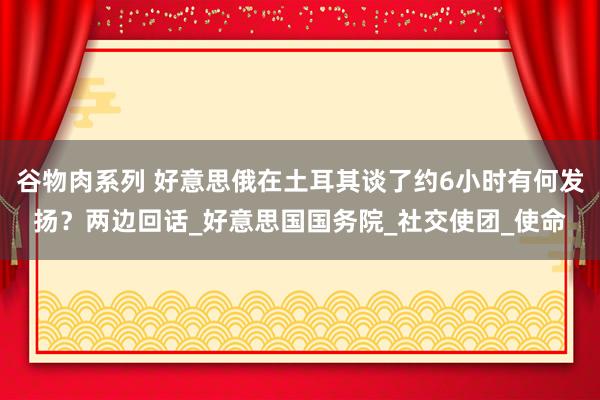 谷物肉系列 好意思俄在土耳其谈了约6小时有何发扬?两边回话_好意思国国务院_社交使团_使命