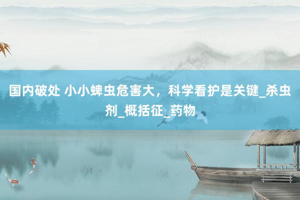 国内破处 小小蜱虫危害大,科学看护是关键_杀虫剂_概括征_药物