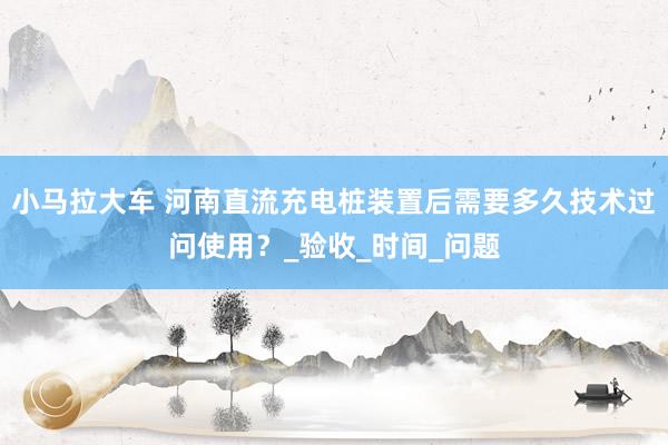 小马拉大车 河南直流充电桩装置后需要多久技术过问使用?_验收_时间_问题