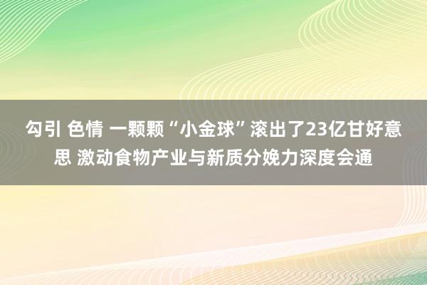勾引 色情 一颗颗“小金球”滚出了23亿甘好意思 激动食物产业与新质分娩力深度会通