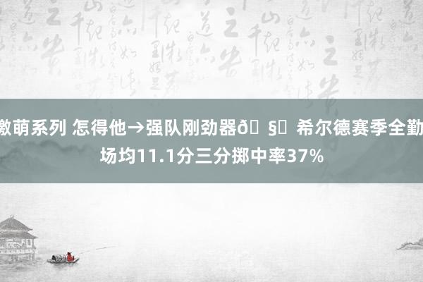 激萌系列 怎得他→强队刚劲器🧐希尔德赛季全勤 场均11.1分三分掷中率37%