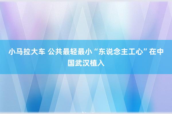 小马拉大车 公共最轻最小“东说念主工心”在中国武汉植入
