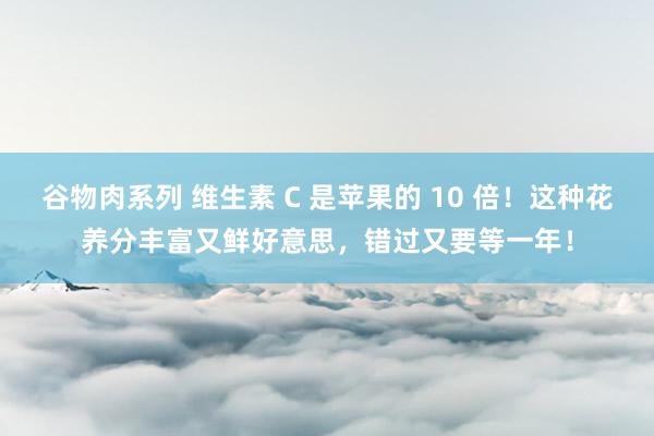 谷物肉系列 维生素 C 是苹果的 10 倍!这种花养分丰富又鲜好意思,错过又要等一年!