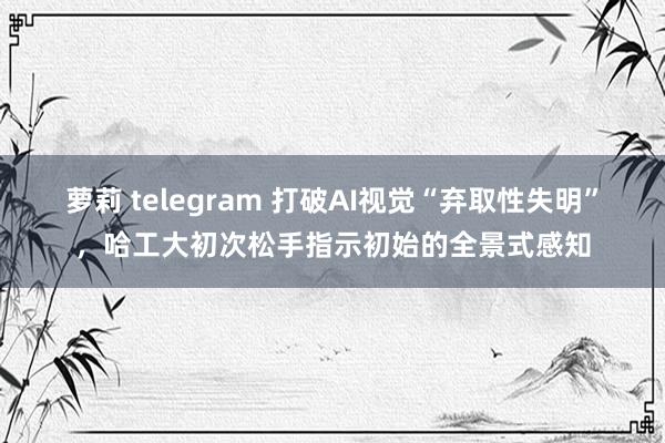 萝莉 telegram 打破AI视觉“弃取性失明”,哈工大初次松手指示初始的全景式感知