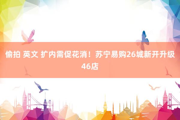 偷拍 英文 扩内需促花消！苏宁易购26城新开升级46店