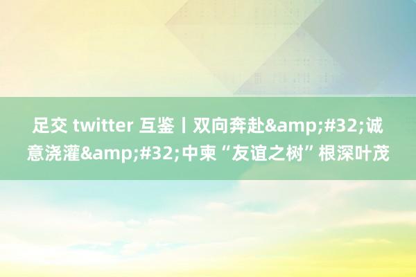 足交 twitter 互鉴丨双向奔赴 诚意浇灌 中柬“友谊之树”根深叶茂
