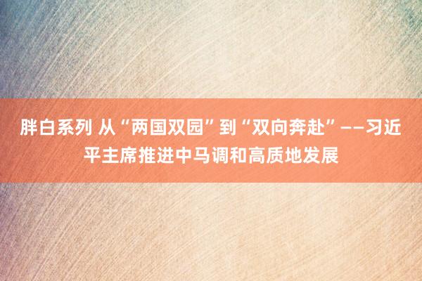 胖白系列 从“两国双园”到“双向奔赴”——习近平主席推进中马调和高质地发展