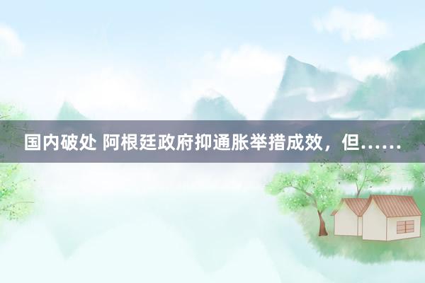 国内破处 阿根廷政府抑通胀举措成效,但……