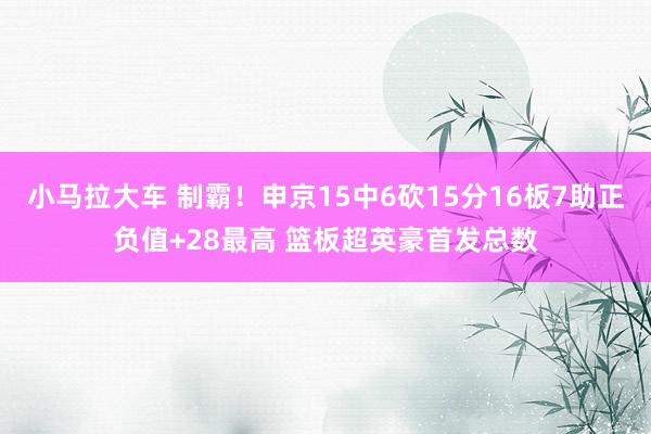 小马拉大车 制霸！申京15中6砍15分16板7助正负值+28最高 篮板超英豪首发总数