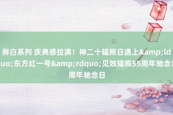 胖白系列 庆典感拉满！神二十辐照日遇上&ldquo;东方红一号&rdquo;见效辐照55周年驰念日