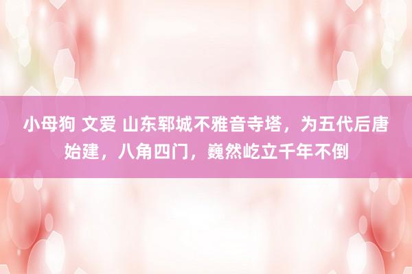 小母狗 文爱 山东郓城不雅音寺塔，为五代后唐始建，八角四门，巍然屹立千年不倒